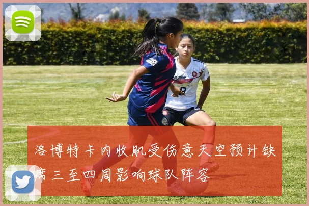 洛博特卡内收肌受伤意天空预计缺席三至四周影响球队阵容