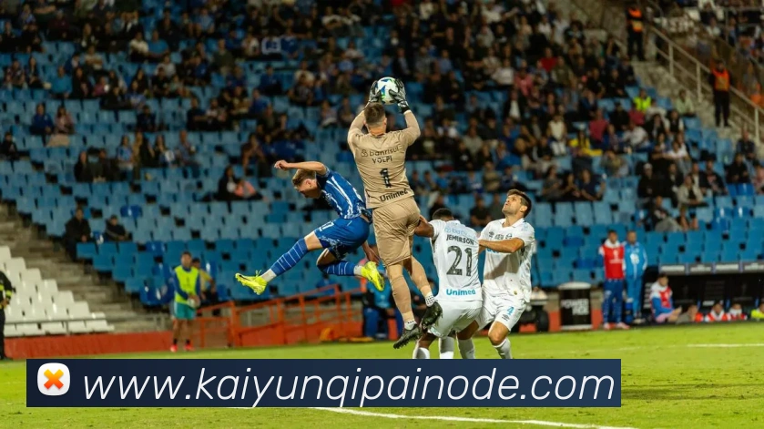 多媒体互动体验