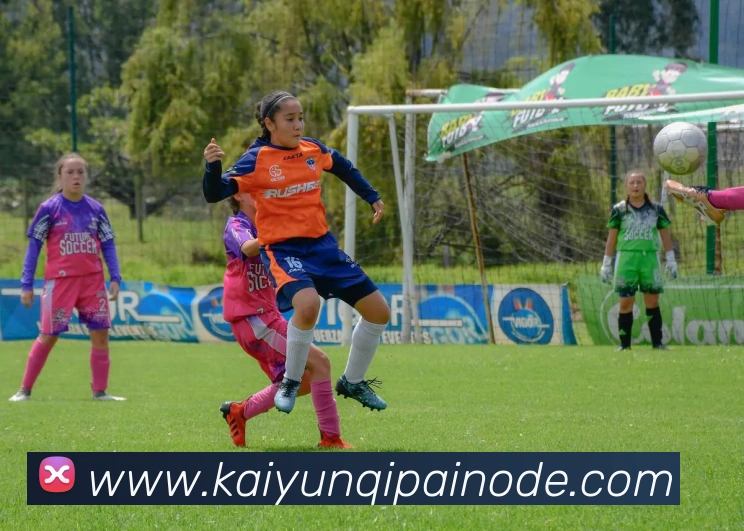 数据防护可视化