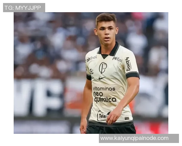 巴甲联赛历史夺冠次数统计帕尔梅拉斯领先弗拉门戈紧随其后 巴甲联赛历史夺冠次数统计帕尔梅拉斯领先弗拉门戈紧随其后